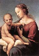 RAFFAELLO Sanzio Madonna and Child oil